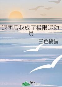 退网后成为极限运动员