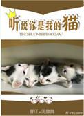 听说你是我男朋友陆景柏