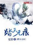 踏天无痕代表什么数字