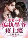墨少轻宠小逃妻完整版