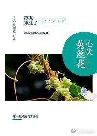 心尖菟丝花全文阅读