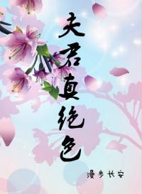 夫君真绝色讲什么