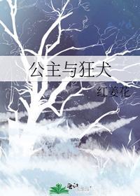 公主与狂犬怎么gb