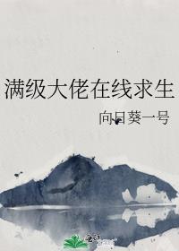 满级大佬无限